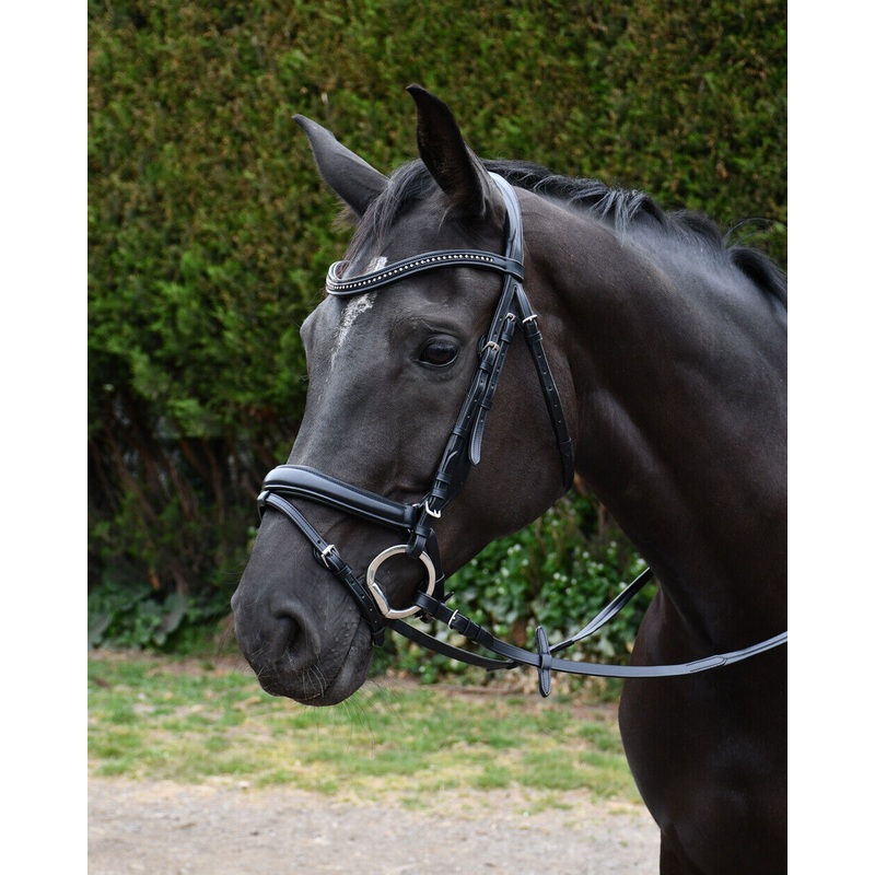 Rhinegold Italia Luxury Anatomical Flash Bridle