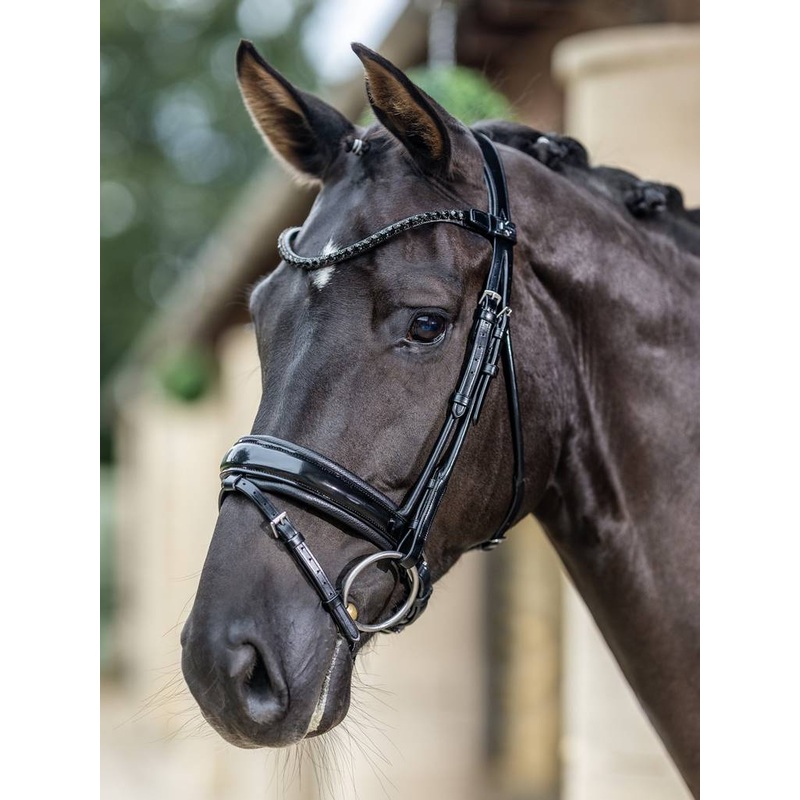 LeMieux Kudos Patent Dressage Bridle