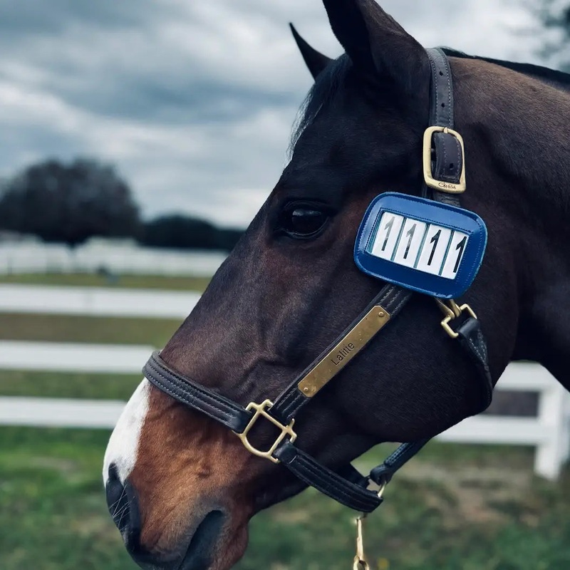 Ace PRO4MANCE | # I.D. – Navy  (Qty. 2)