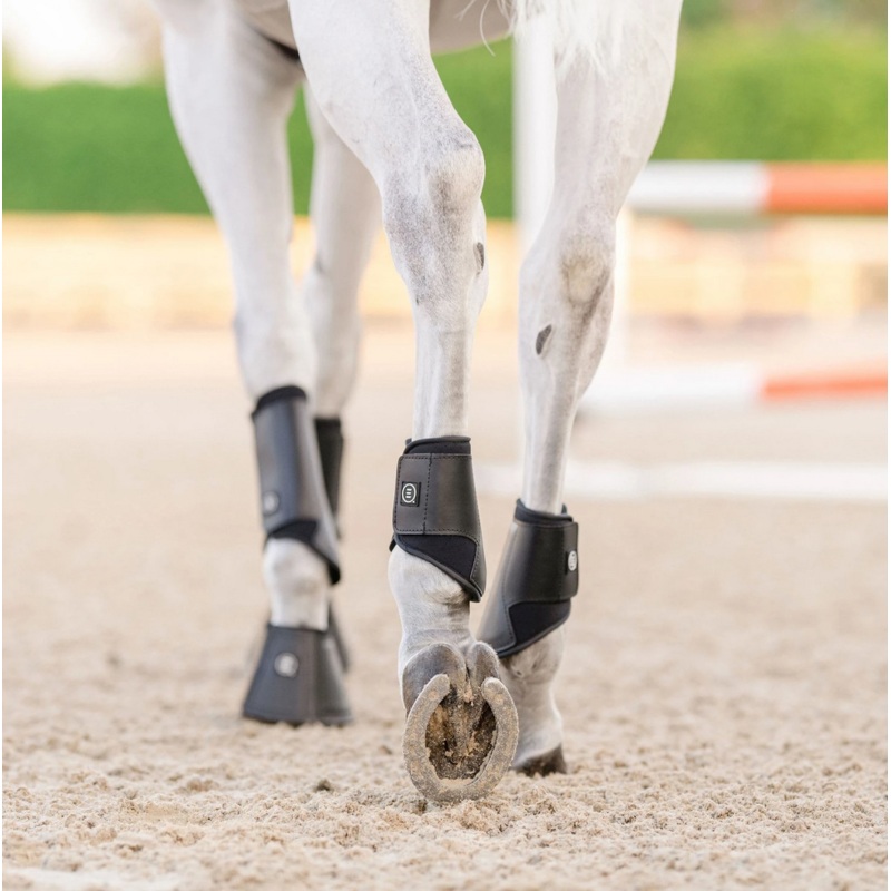 EquiFit Essential EveryDay Hind Boot
