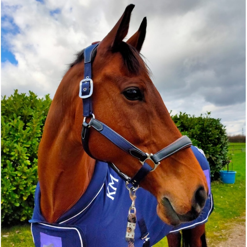 KM Elite Leather Webbing Headcollar