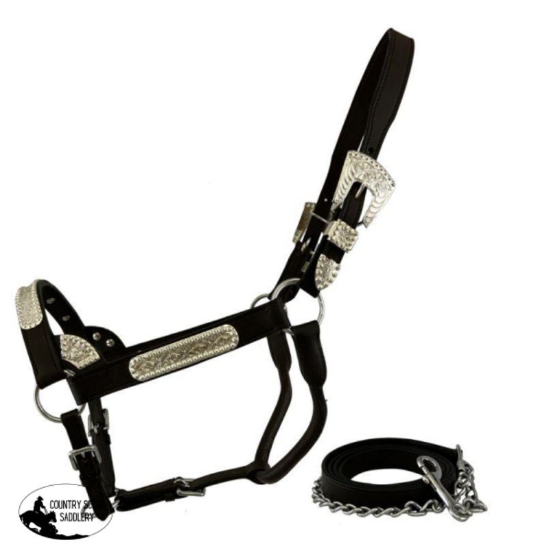 *Showman Average Horse size Show Halter