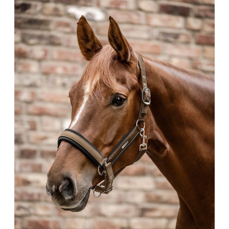 Waldhausen Breath Halter ~ Cappuccino