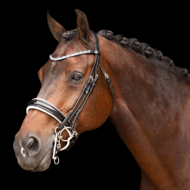 Imperial Riding Olympia Weymouth Bridle