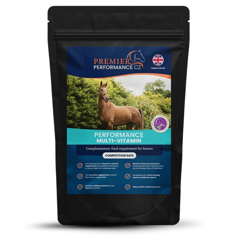 Premier Performance MultiVitamin