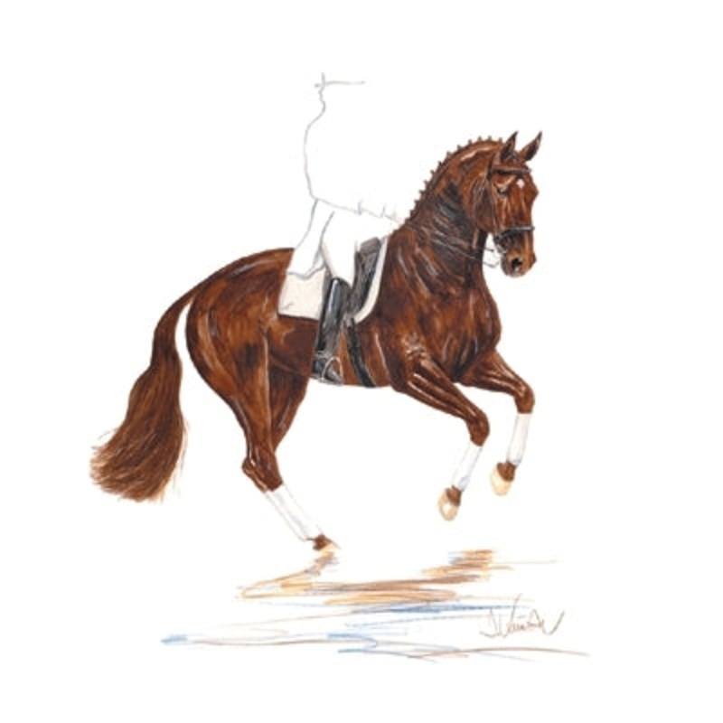 Scotch (Dressage) By: Jan Kunster