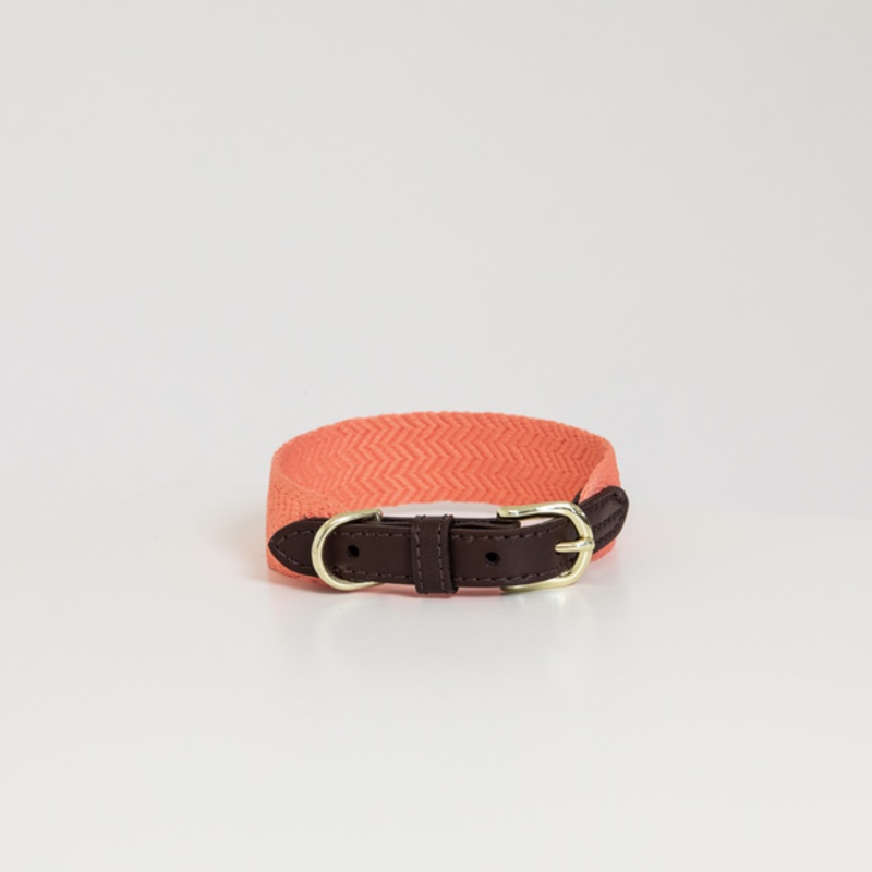 Dog Collar Jacquard