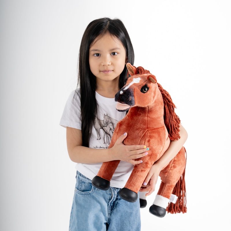 Big Ben – Limited Edition 50th Anniversary Toy Pony