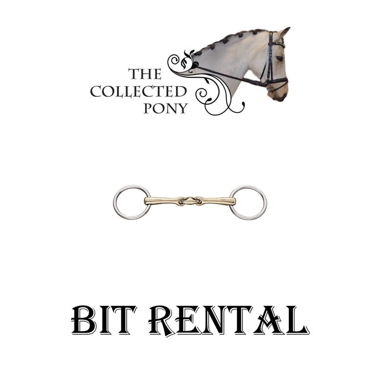 Bit Rental Program