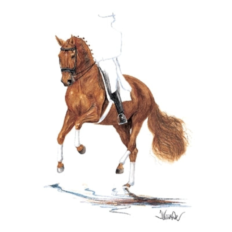 Rheingold (Dressage) By: Jan Kunster