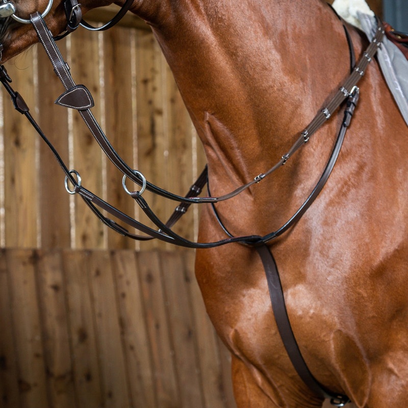 Working Collection Running Martingale