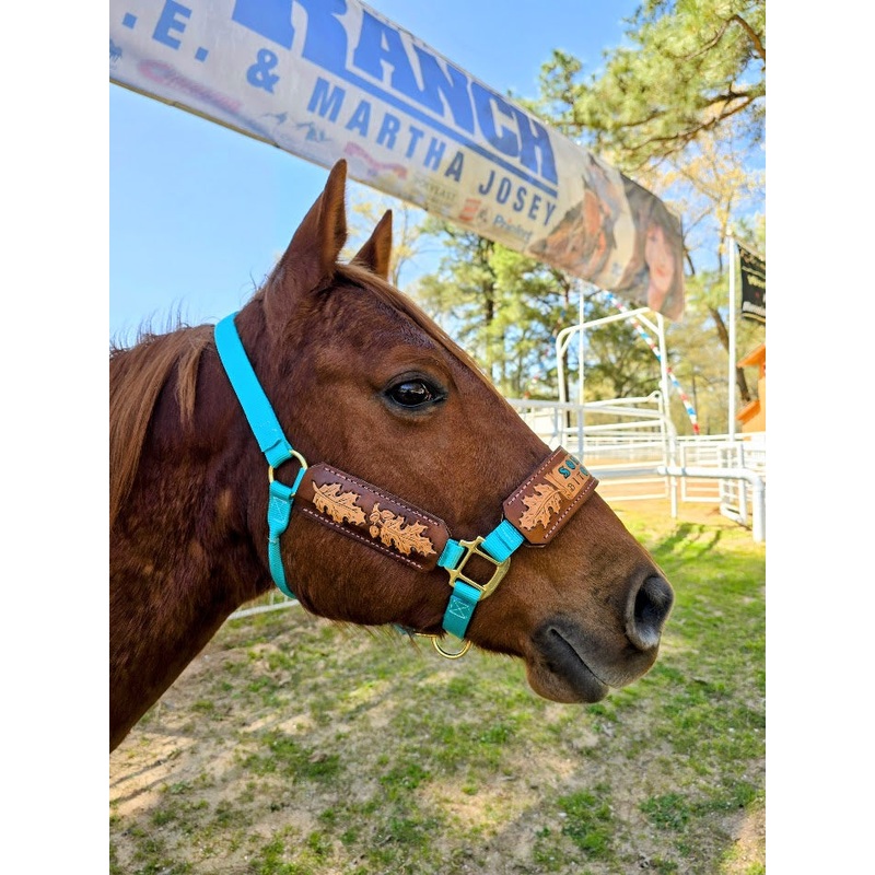 5 Star Oakleaf Name with Tooling halter