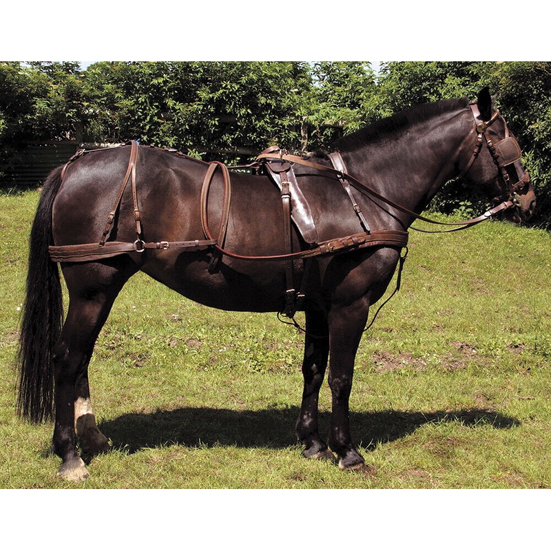 Windsor Oily Leather Harness