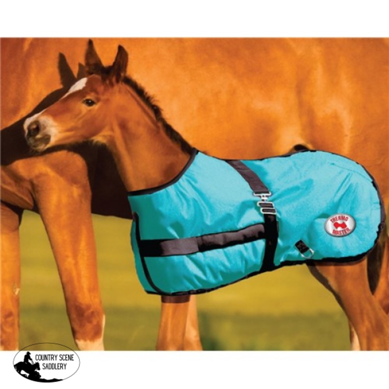 Thermo Master 600D Growing Foal Rug