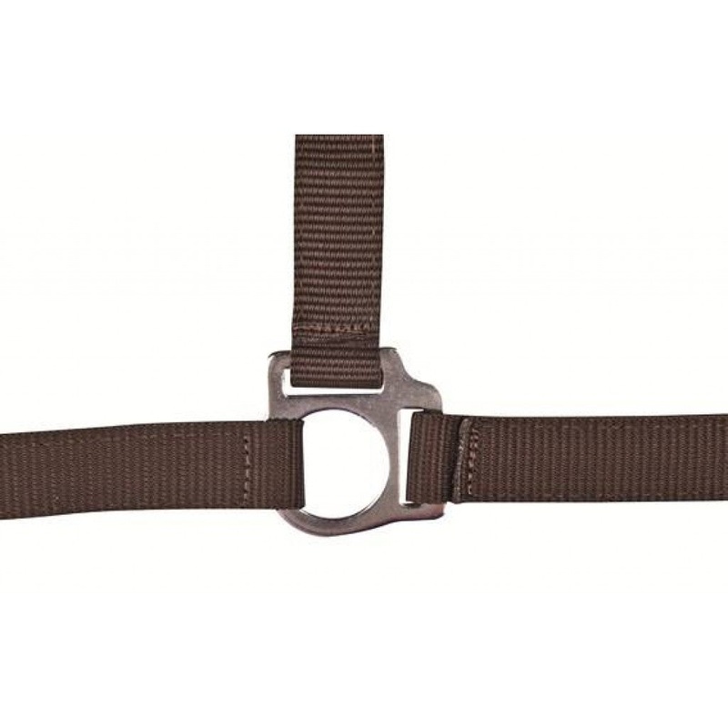 HKM Head Collar -Stars Economy-