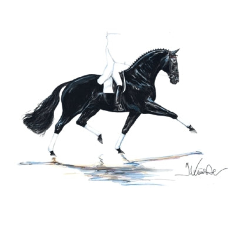 Las Vegas (Dressage) By: Jan Kunster, Matted