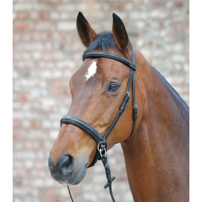Waldhausen Bitless Bridle