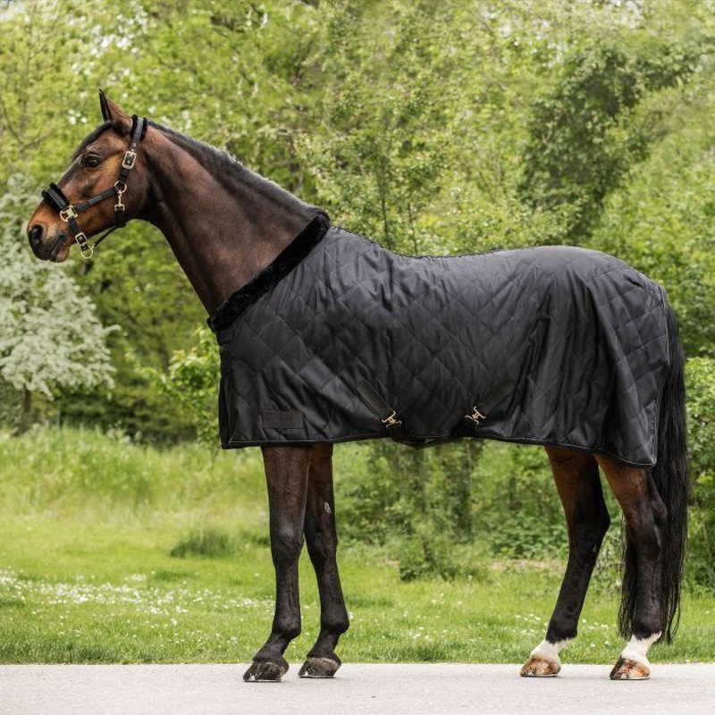 Waldhausen Exclusive Travel Rug
