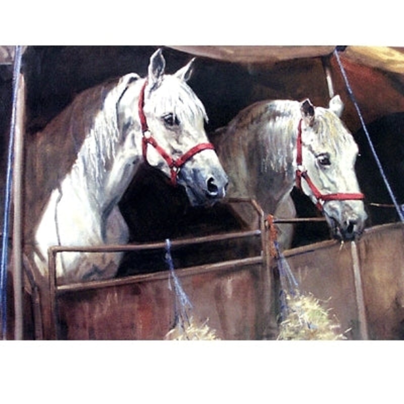 Waiting for the Show Blank Greeting Cards – 6 Pack