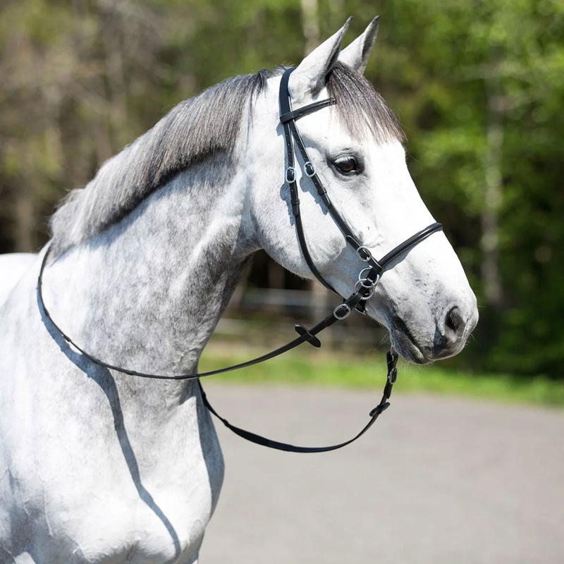 10081 Horze Bitless Bridle