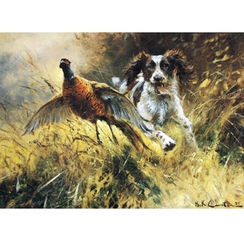 A Near Miss (English Springer) Blank Greeting Cards – 6 Pack