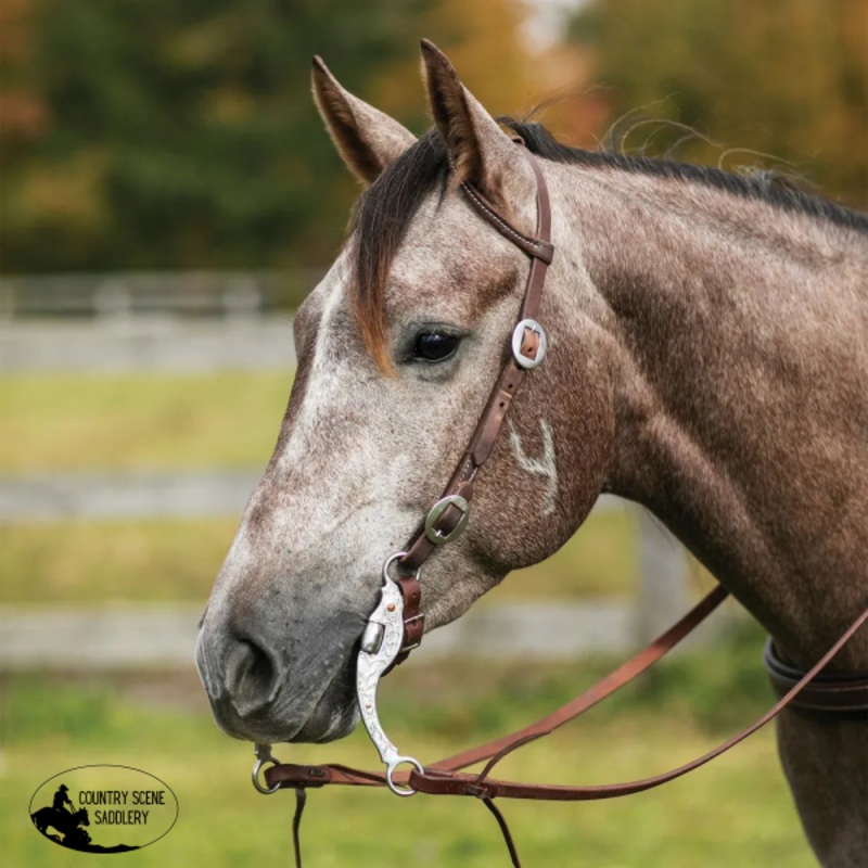 Billy Royal Oiled Hermann Oak One Ear Buckle End Headstall
