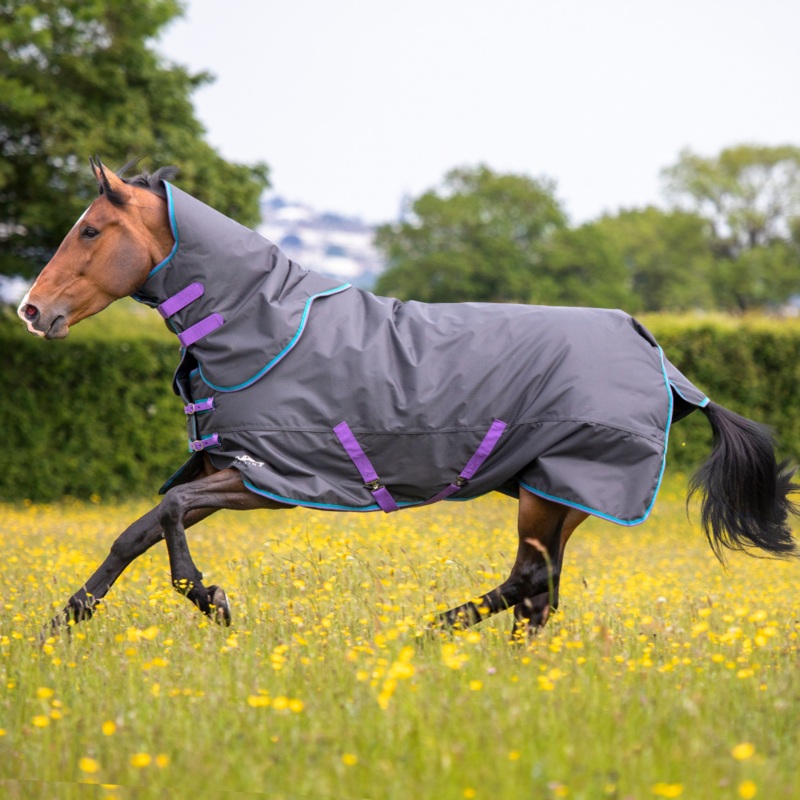 Shires Tempest Original 300g Turnout Rug with Detachable Neck