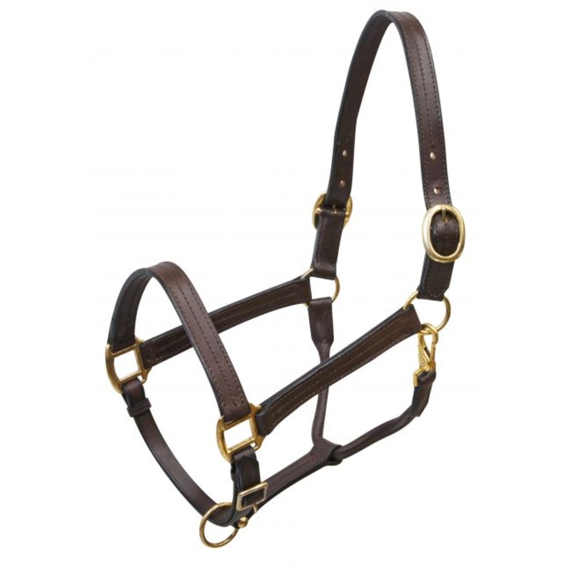 Large horse size (1100-1600lbs) leather halter with brass hardware