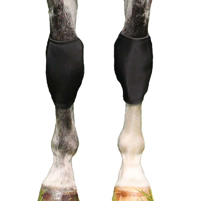 Knee Boots