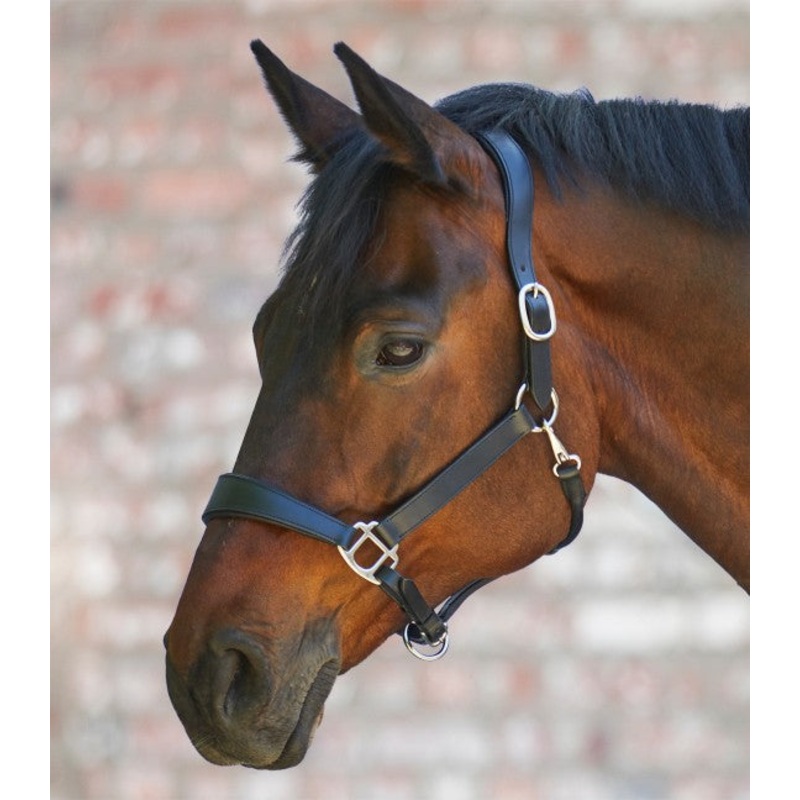 Waldhausen X-Line Leather Halter Anatomic