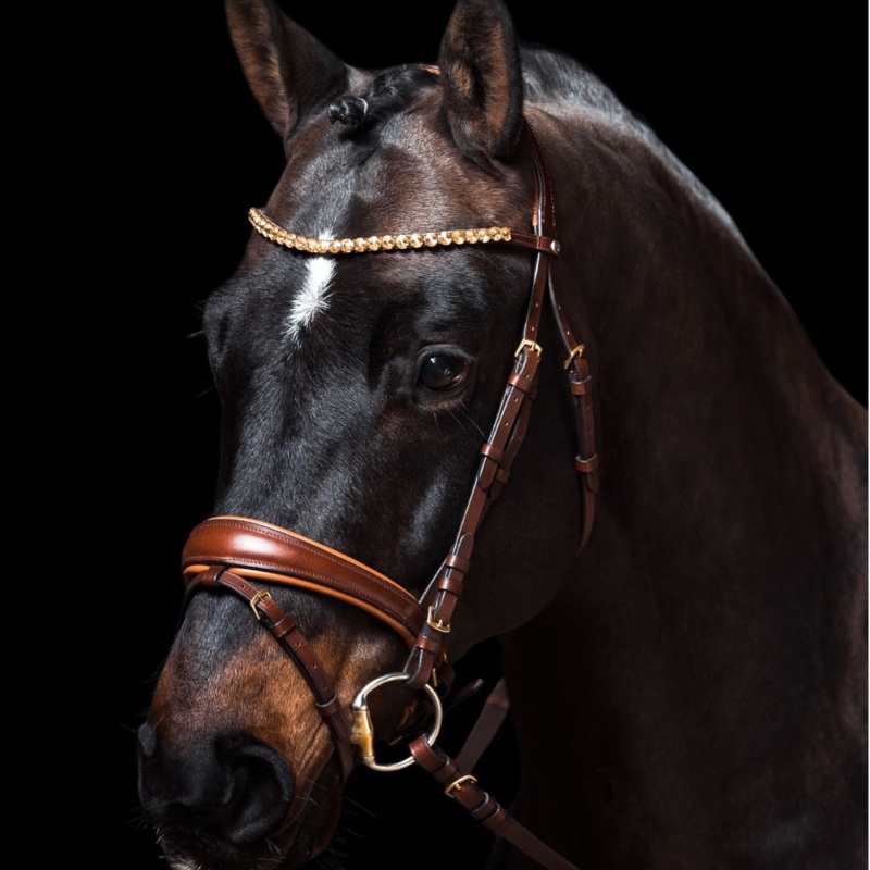 HKM Bridle -Marrakesh-