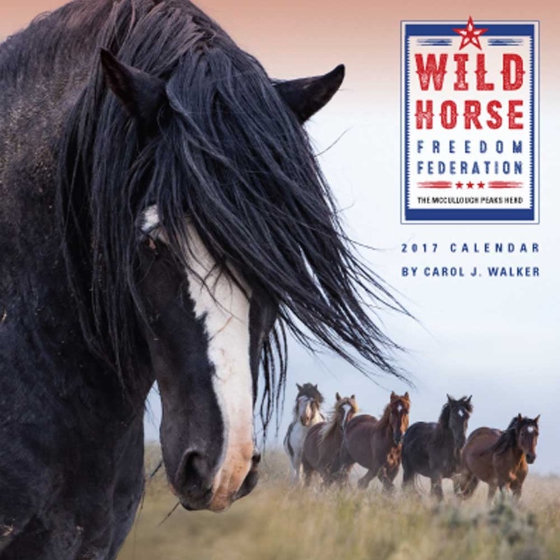 Wild Horse Freedom Federation 2017 Calendar