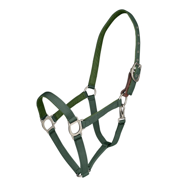 Color Collection by Ovation Lucky Breakaway Halter – Hunter