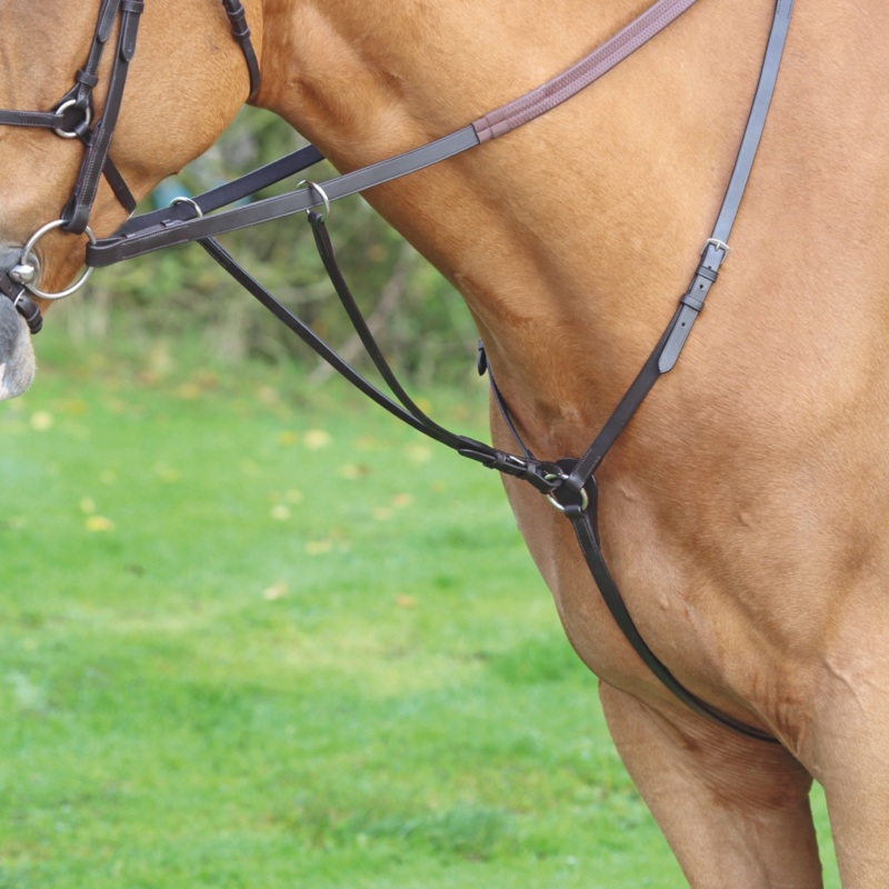 Shires Velociti GARA Hunt Weight Breastplate