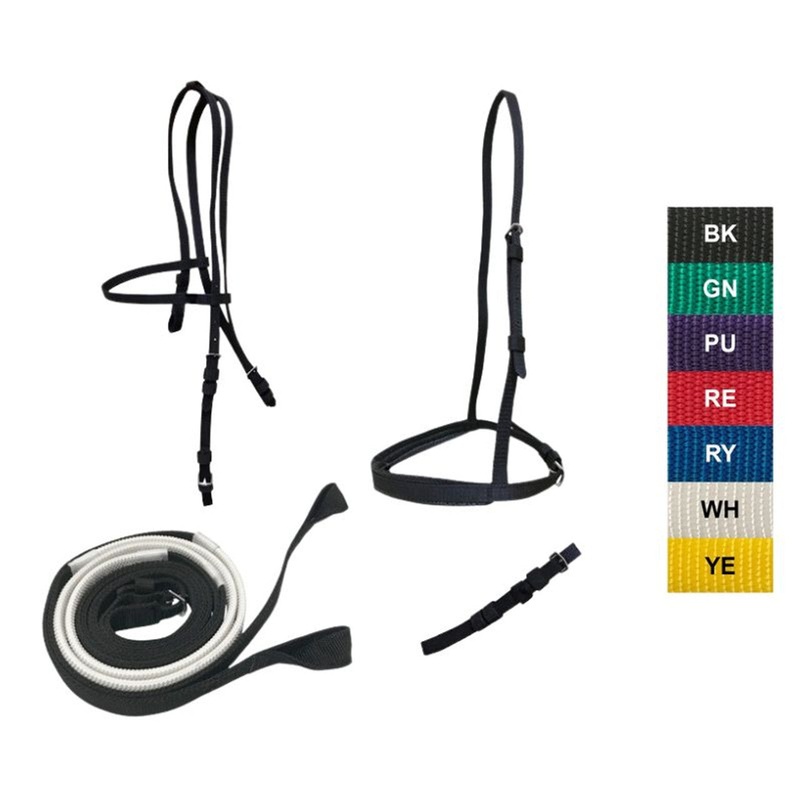Ultra Race Bridle Set with Loop Reins