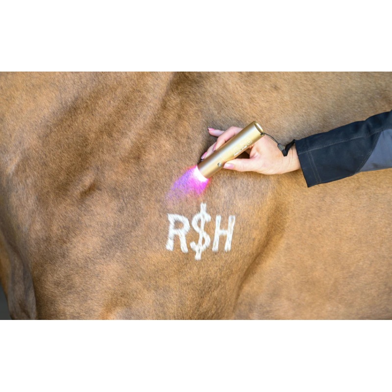 XLR8 Equine Redline Ignite Handheld Therapy Light