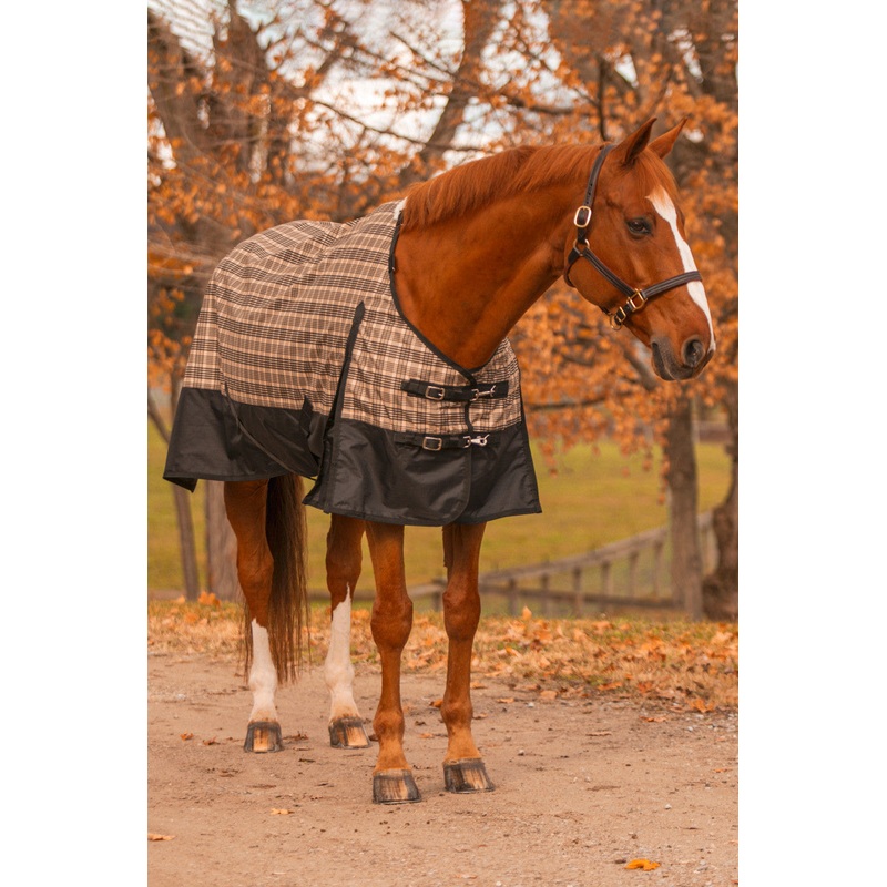 5/A Baker Black Label Turnout Sheet