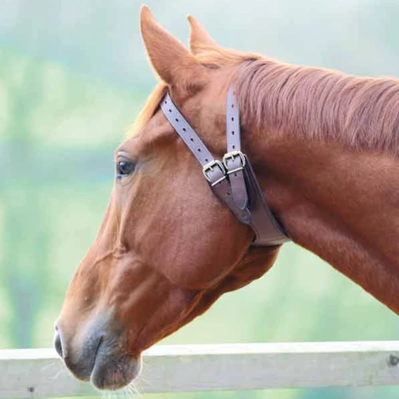Shires Anti-Crib Collar