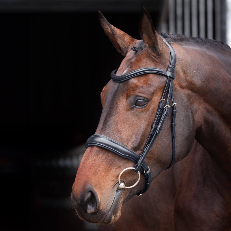 Shires Velociti Lusso Elite Padded Cavesson Bridle