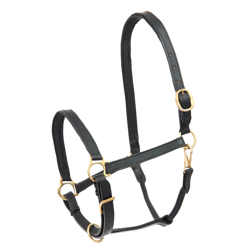 STAR Leather Halter